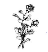 VIGROUX Roger